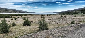 F910 Islande Off-Road Moto